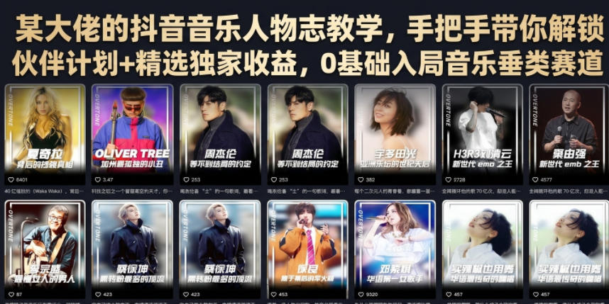 某大佬的抖音音乐人物志教学，手把手带你解锁伙伴计划+精选独家收益，0基础入局音乐垂类赛道-集课